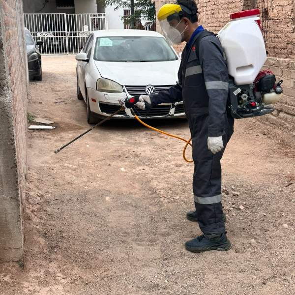 Refuerza Salud Sonora acciones contra la rickettsia con más de 2 mil 600 fumigaciones